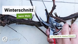 Winterschnitt beim Wein  Weinreben richtig schneiden  gardify Tipps [upl. by Docilu671]