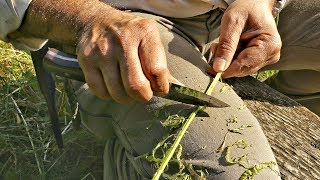 How To Make Natural Cordage From Bramble [upl. by Cutty]