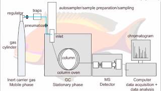 Strategies for GCMS Method Development [upl. by Orling]