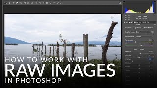 How to Work with RAW Images in Photoshop [upl. by Chaiken]