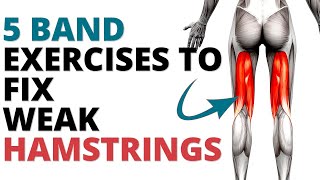 5 Band Hamstrings Strengthening Exercises At Home [upl. by Melonie]